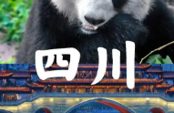 四川app
