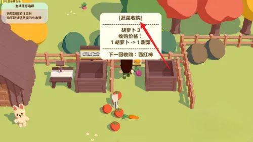 小岛时光
