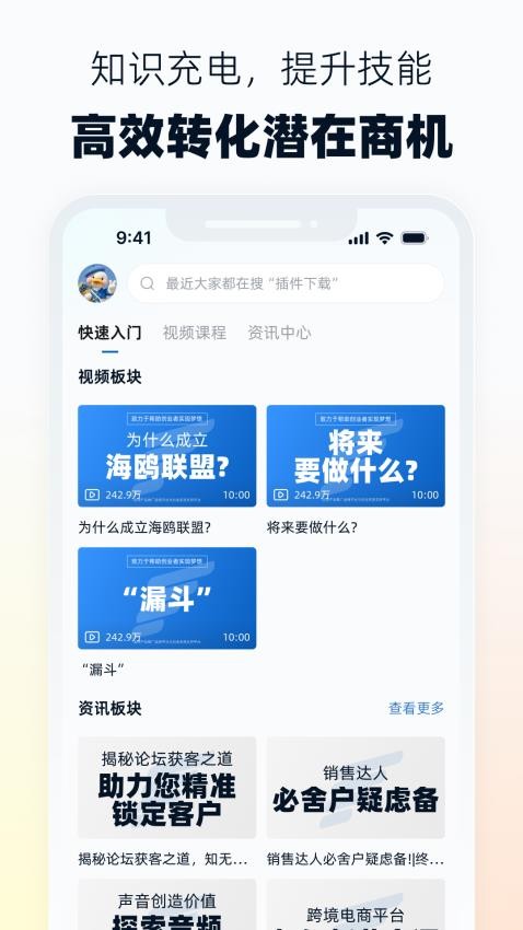 海鸥联盟