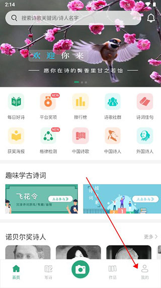 为你写诗