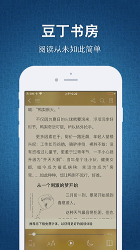 豆丁书房