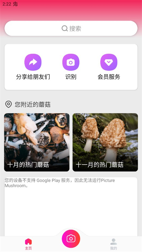 蘑菇识别扫一扫