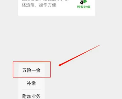 蚂蚁社保