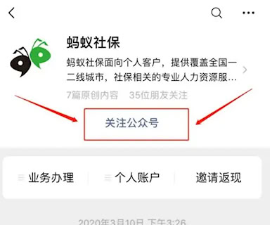 蚂蚁社保