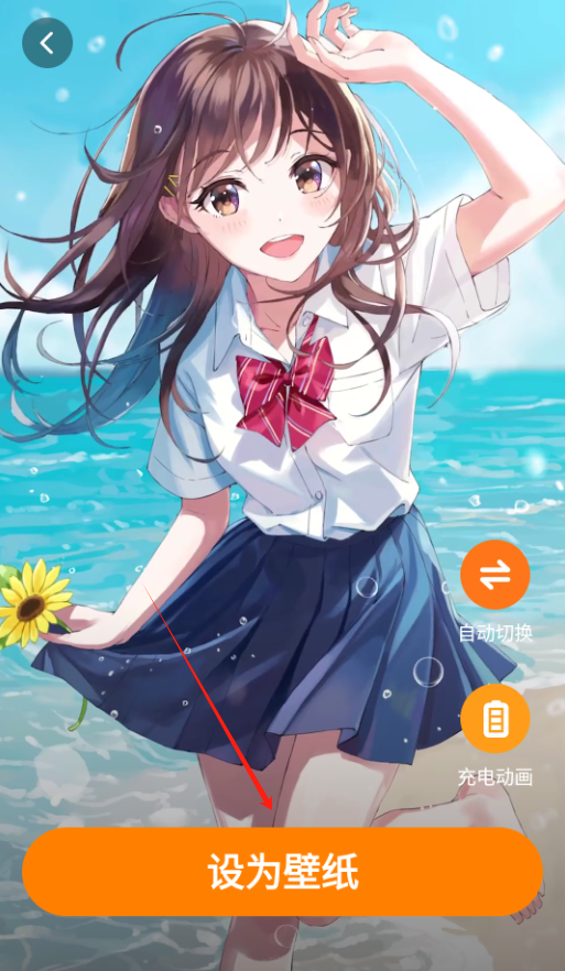 甜橙壁纸