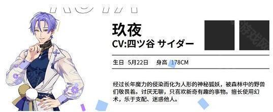 NuCarnival