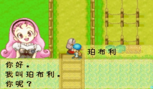 牧场物语风之集市