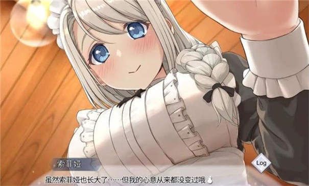 我和索菲娅的秘密