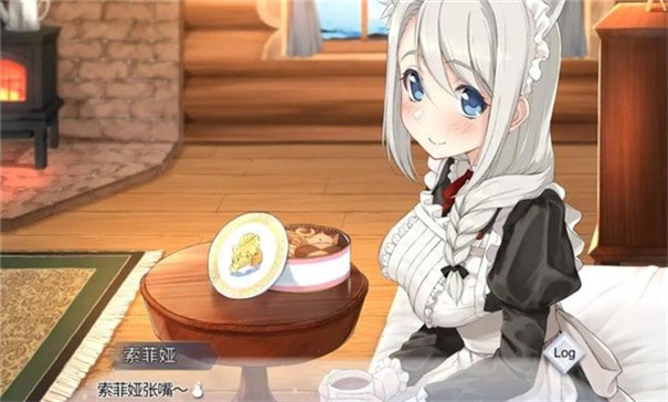 我和索菲娅的秘密