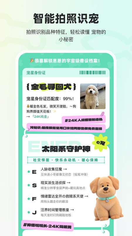 宠拍档