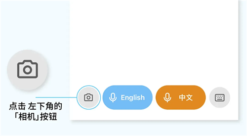 翻译鸥