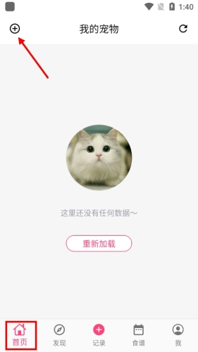 铲屎官日记