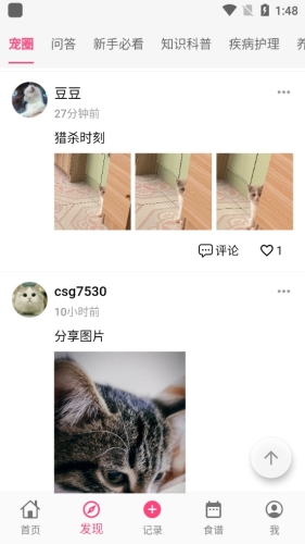 铲屎官日记