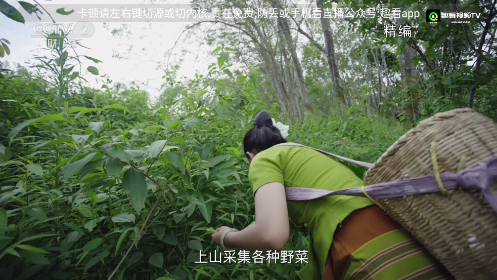 趣看视频