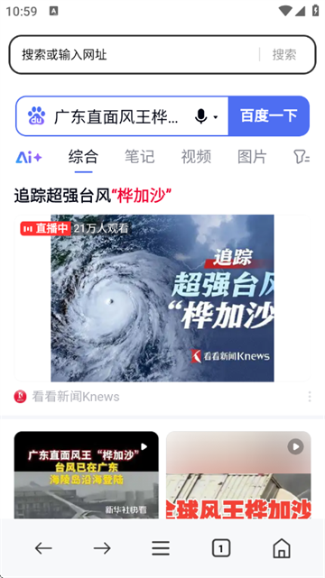 番柿浏览器
