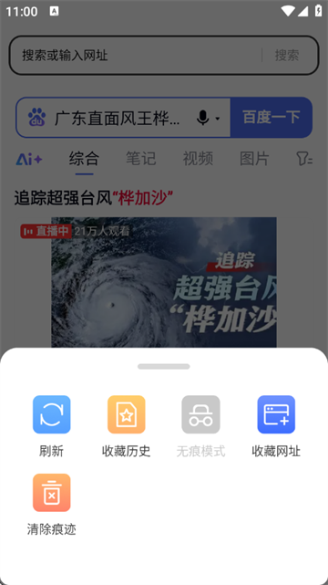 番柿浏览器