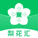 梨花汇