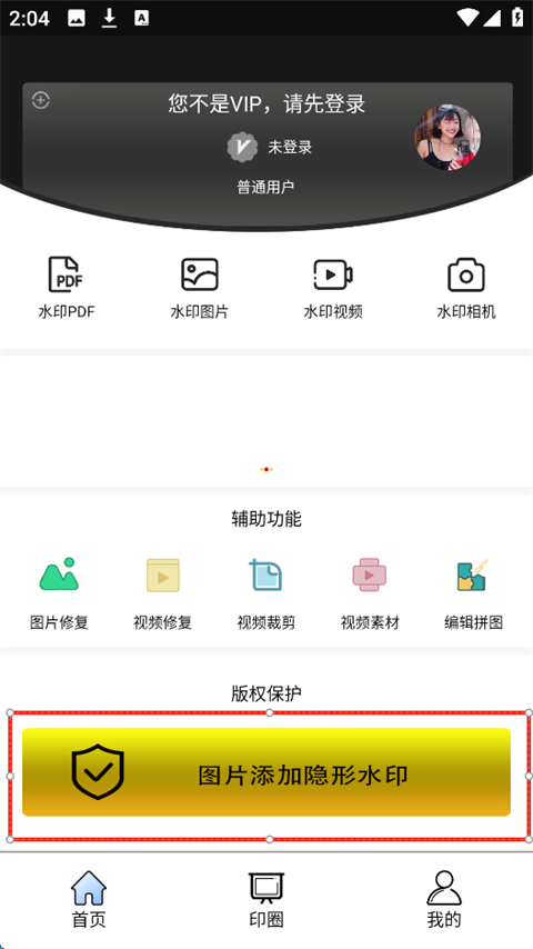 水印王