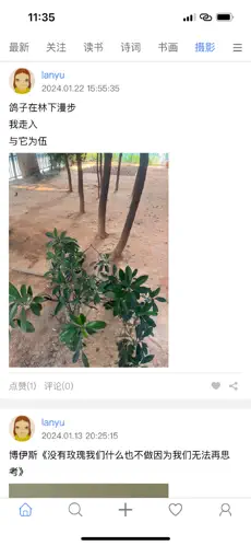 今日无事