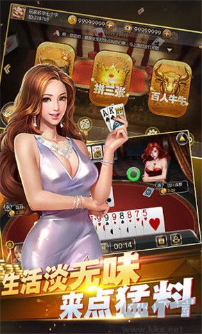 龙游棋牌