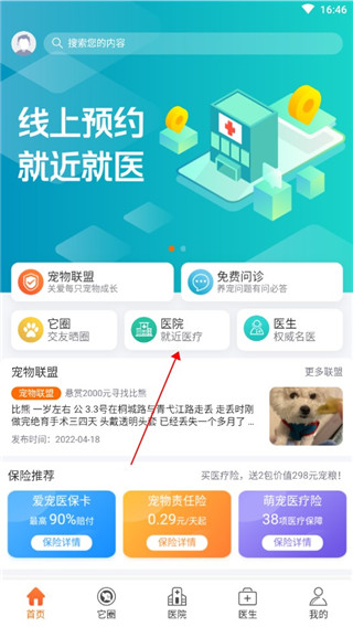 它来啦