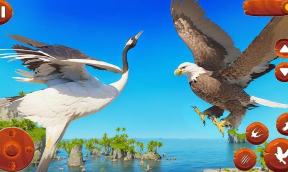 野生鳥類生活模擬器