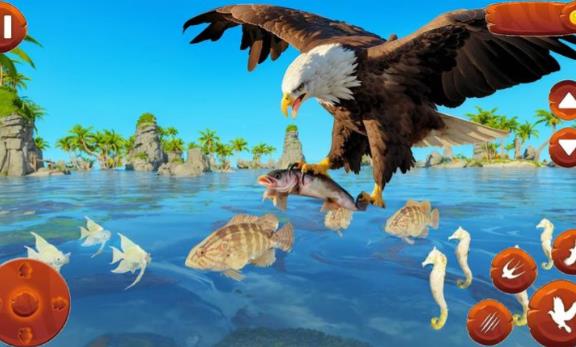 野生鳥類生活模擬器