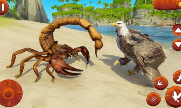 野生鳥類生活模擬器